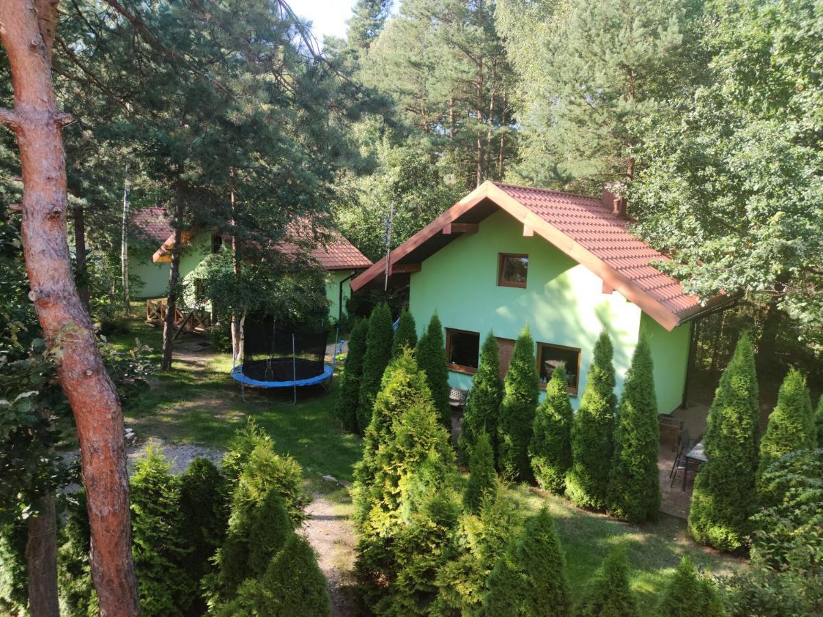 Villa Niezapominajka-Jura Niegowa Esterno foto