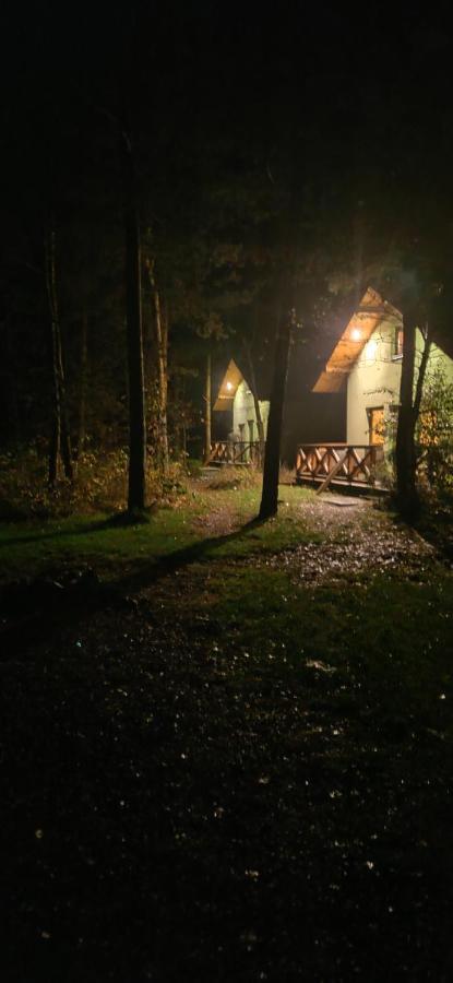 Villa Niezapominajka-Jura Niegowa Esterno foto