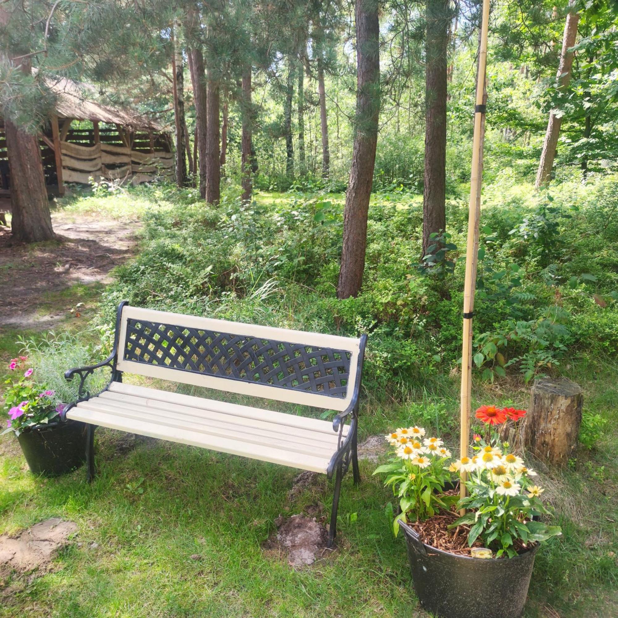 Villa Niezapominajka-Jura Niegowa Esterno foto